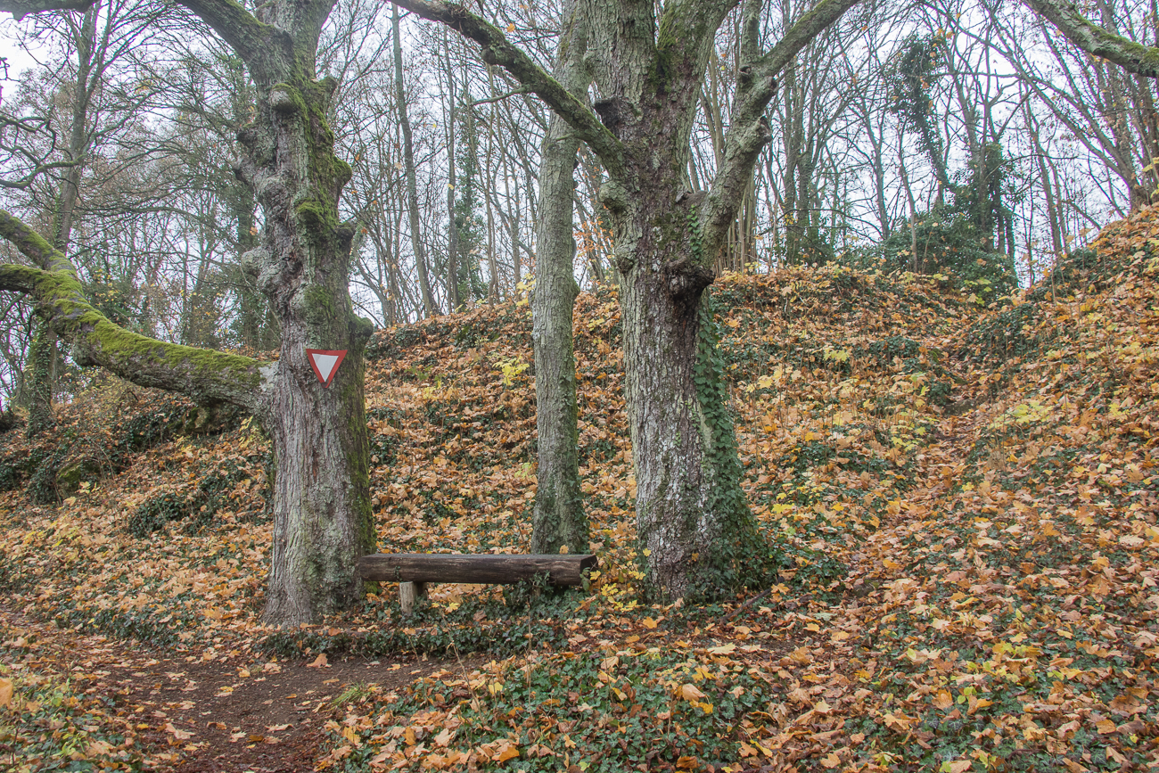 Abstieg ins Tal