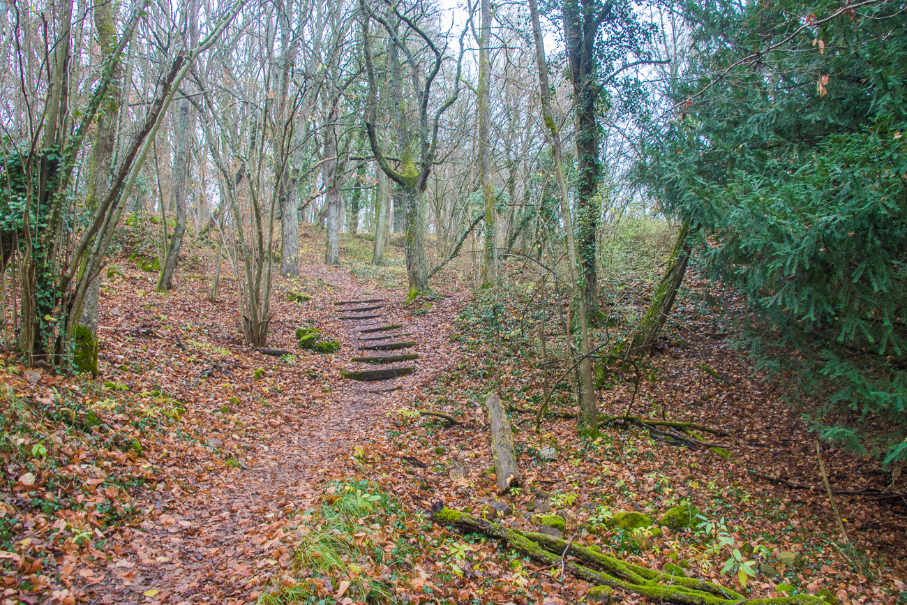 Abstieg ins Tal