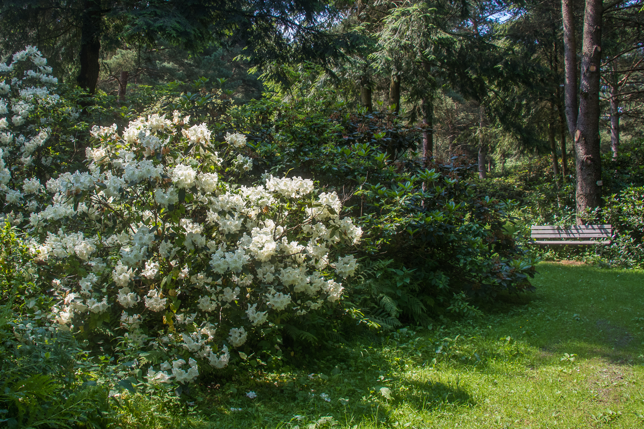 Eine Bank l&auml;dt zum Verweilen ein