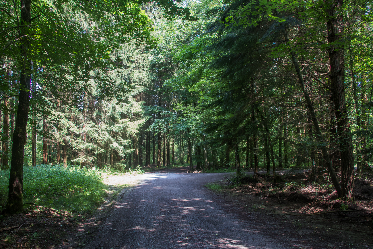 Jetzt geht es endlich mit dem Wandern los ;-)