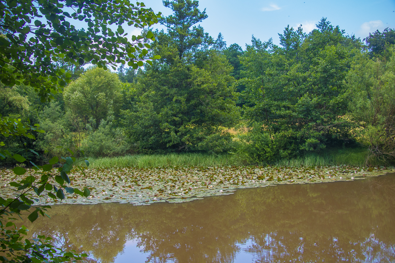 Am Hermannsee, kurz vor dem Ziel