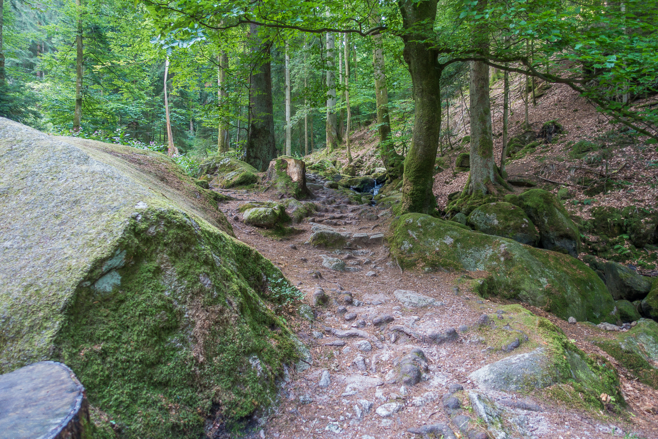 Holpriger Wanderweg, aber sehr sch&ouml;n