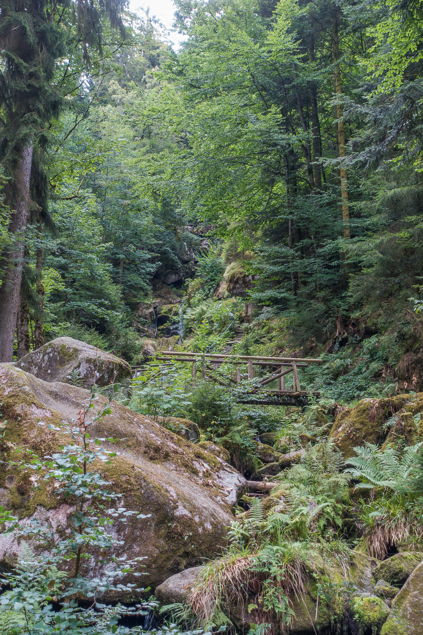 Und immer noch geht es aufw&auml;rts