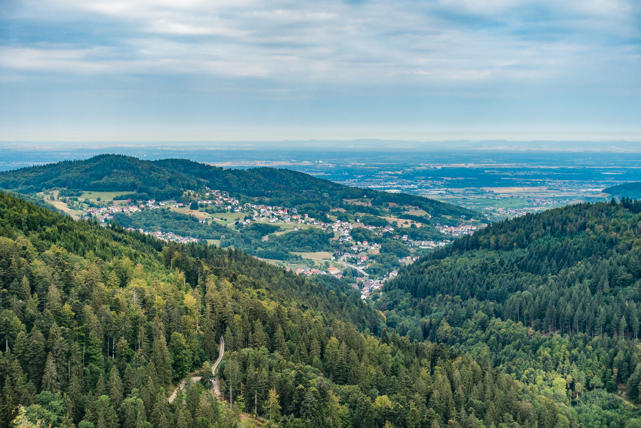 Blick vom Wiedenfelsen in die Rheinebene