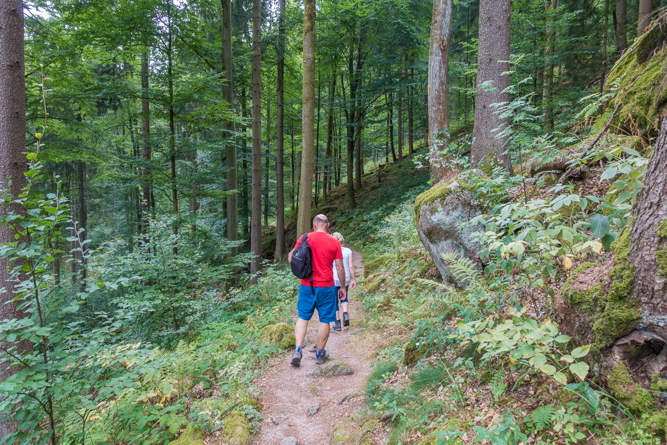 Endlich ist der Weg mal etwas eben ;-)