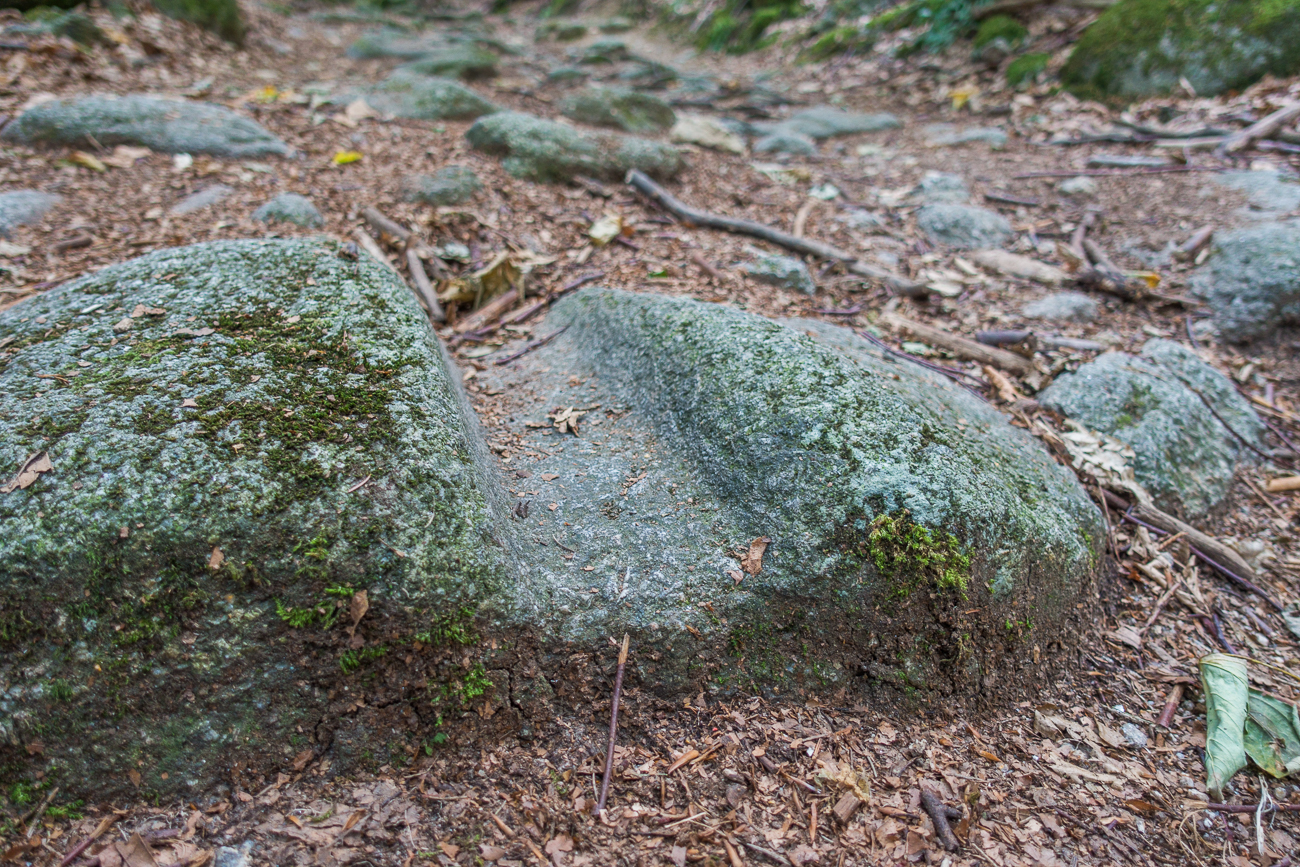 Radspuren fr&uuml;herer Ochsenkarren