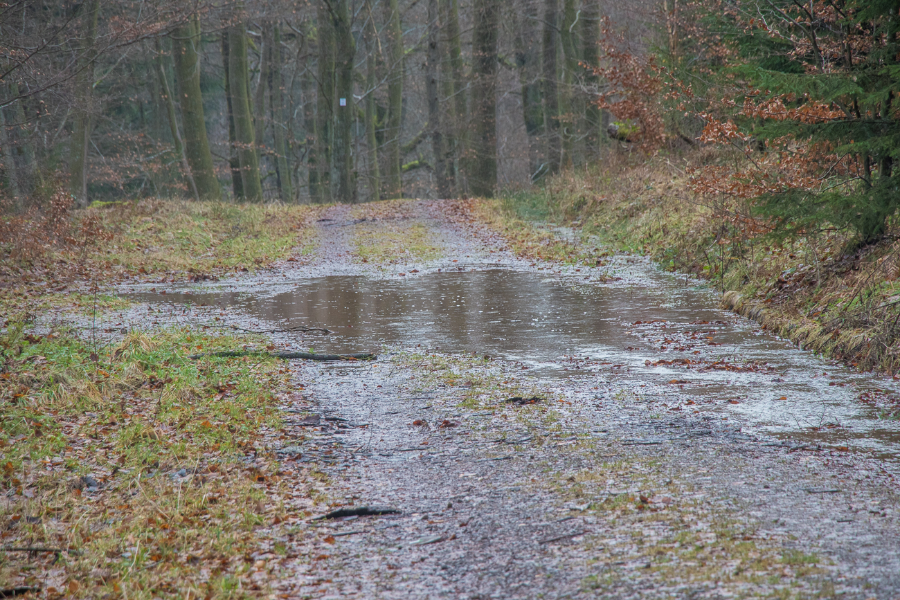 ... hier schon :-( 