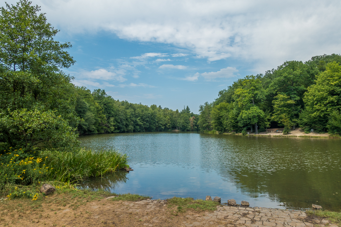 Am Netzbach-Weiher