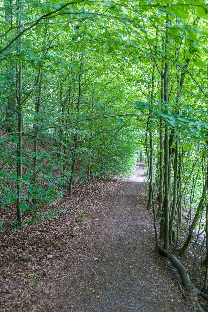 Hohle Gasse