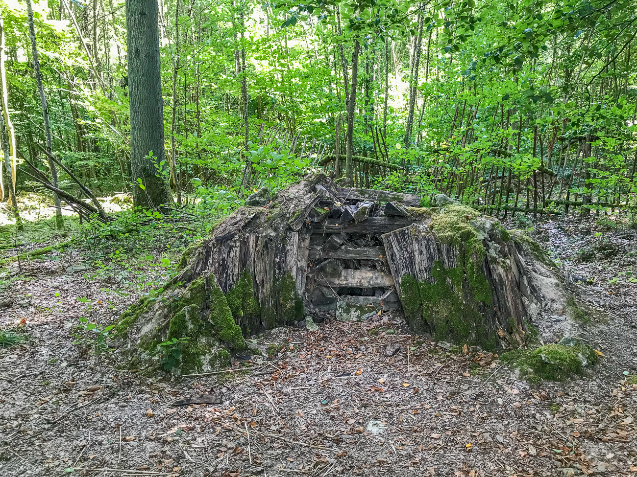 Holzkohle-Meiler
