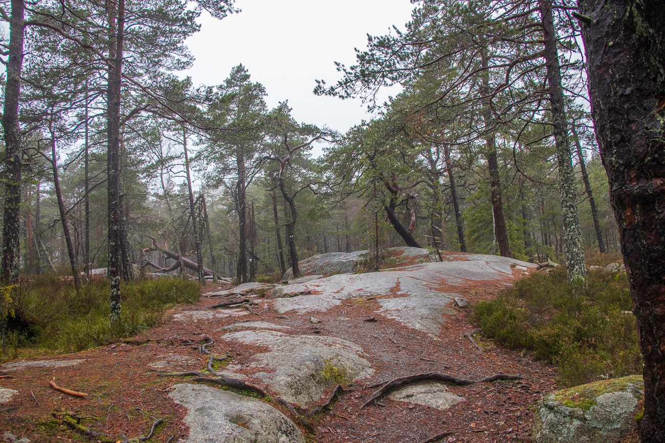 Auf die typischen Felsr&uuml;cken ... 