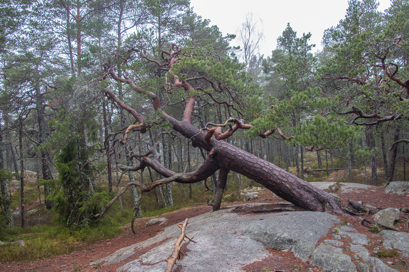 ... trifft man hier &uuml;berall 
