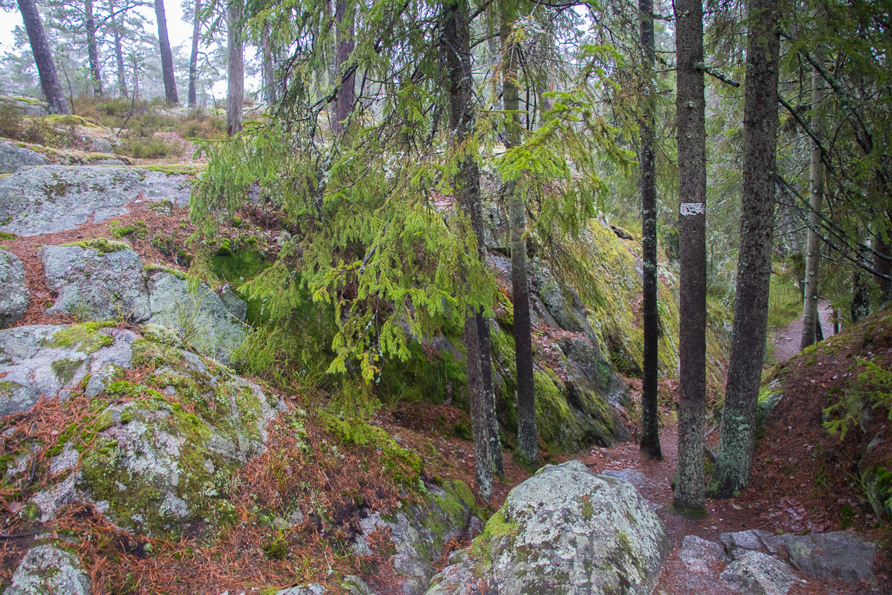 Nun m&uuml;ssen wir etwas klettern 