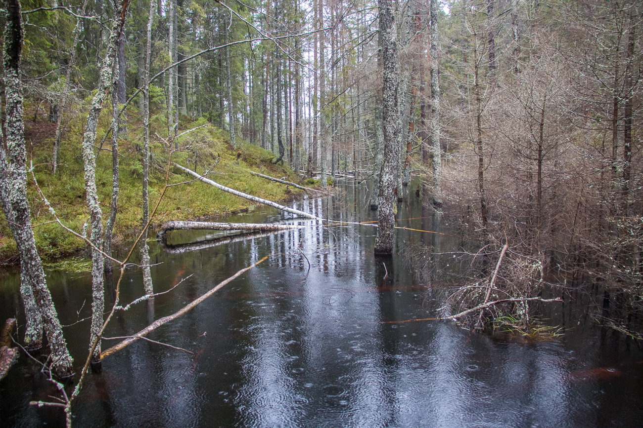 Wandern 2018