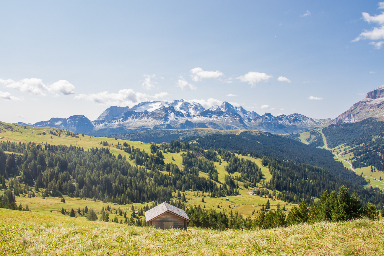 ... lassen die Herzen h&ouml;her schlagen