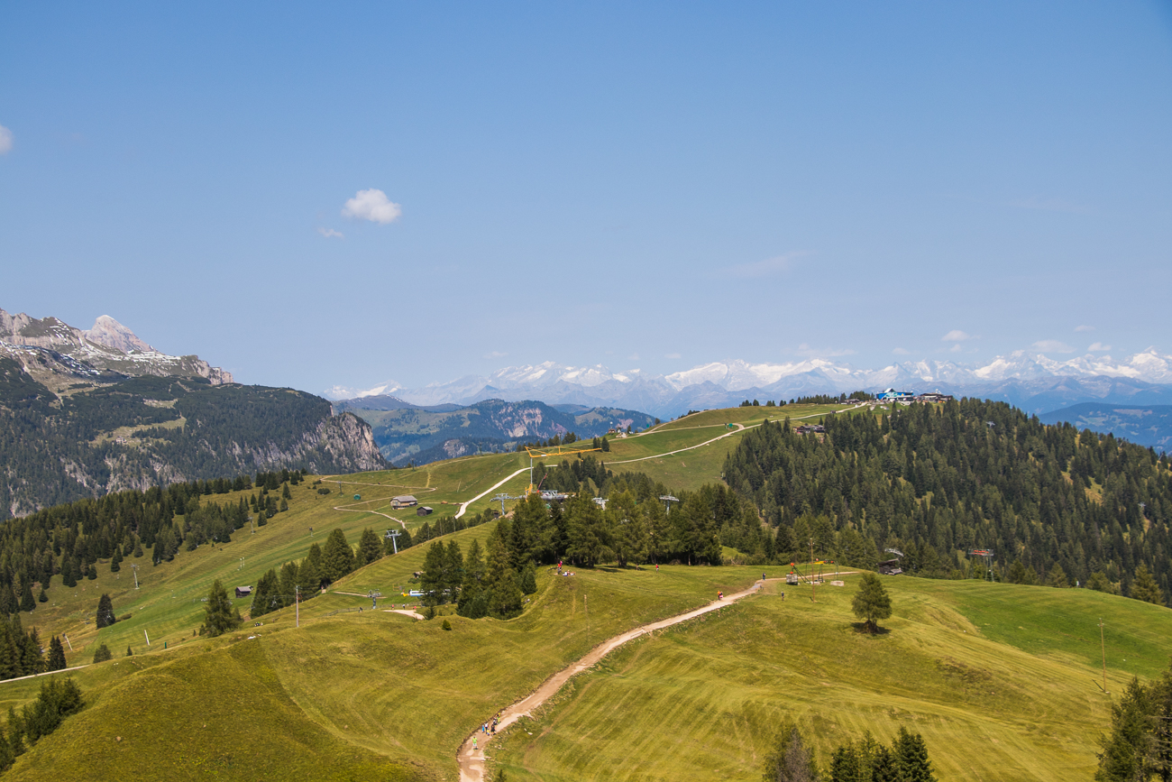 Zahlreiche Wege führen über das Plateau