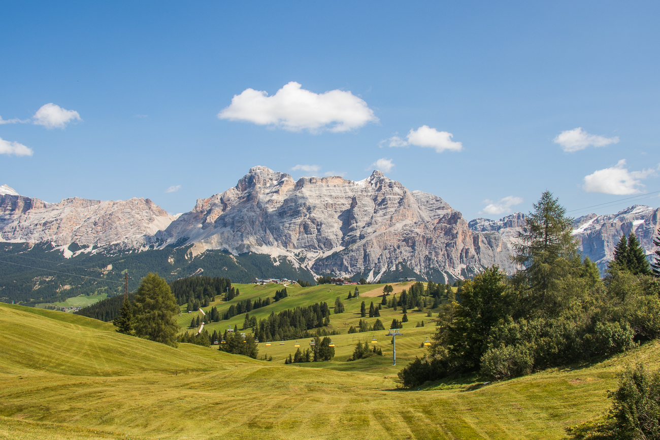 Leider sind die Wiesen frisch gemäht ...