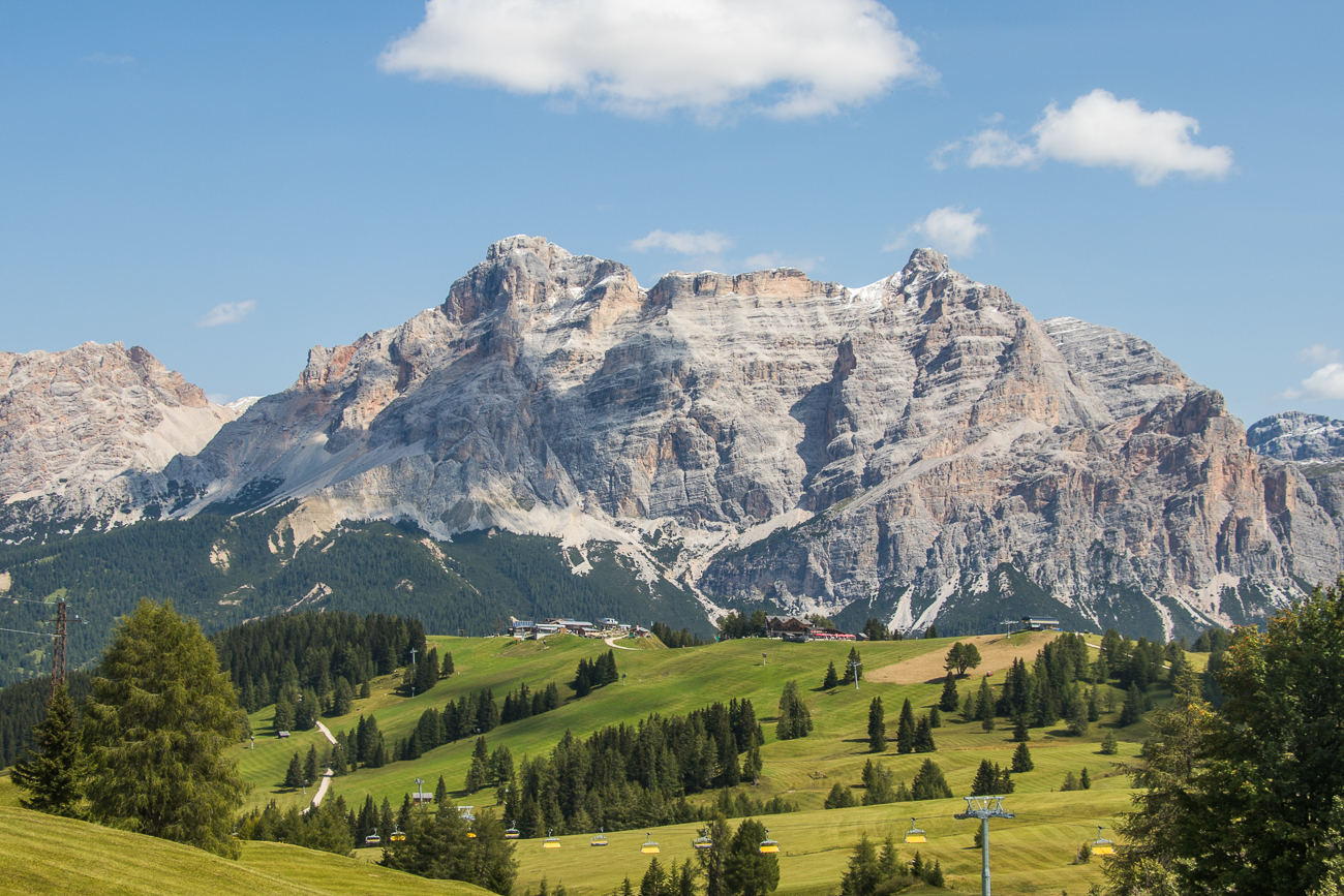 ... normalerweise ist hier ein Blumenmeer zu sehen