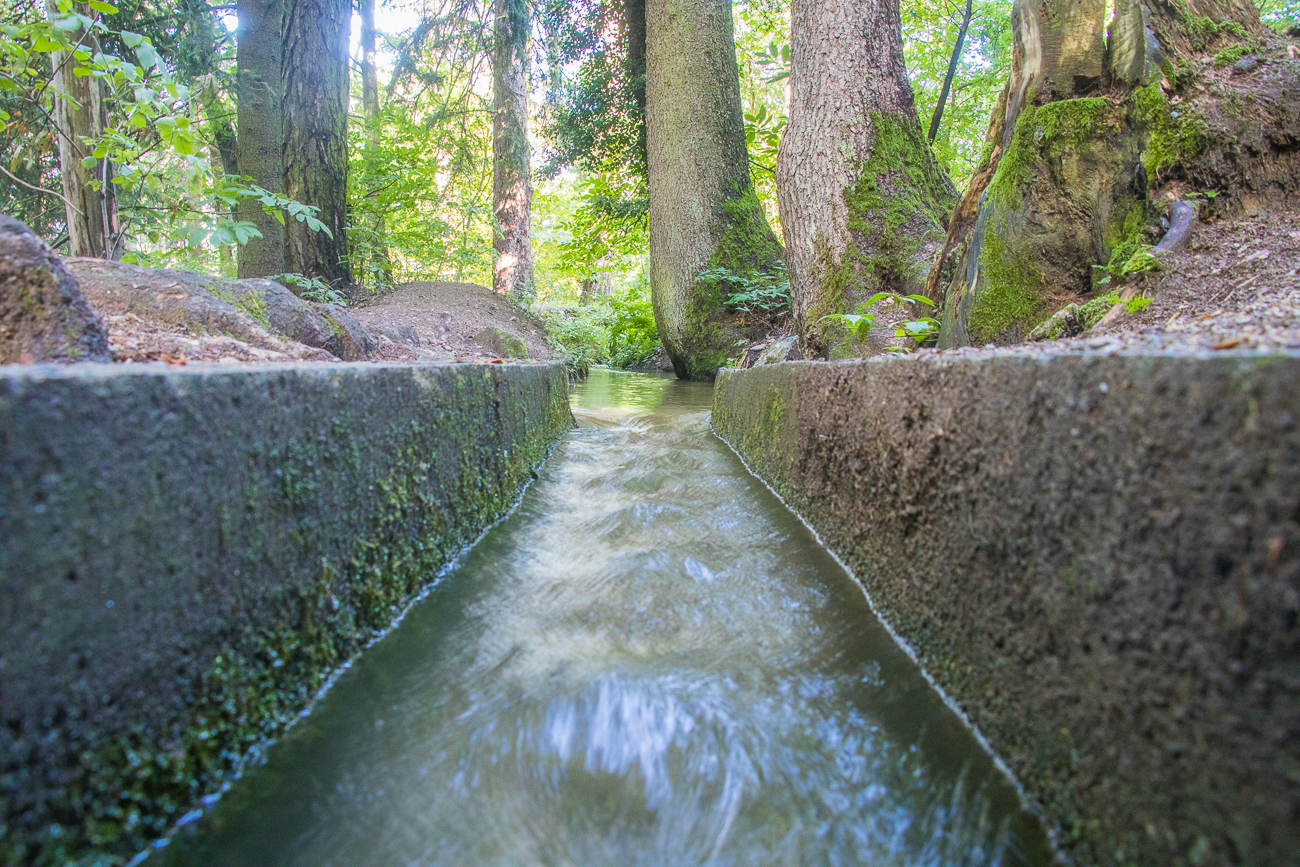 ... f&uuml;hrt das Wasser zu den Plantagen
