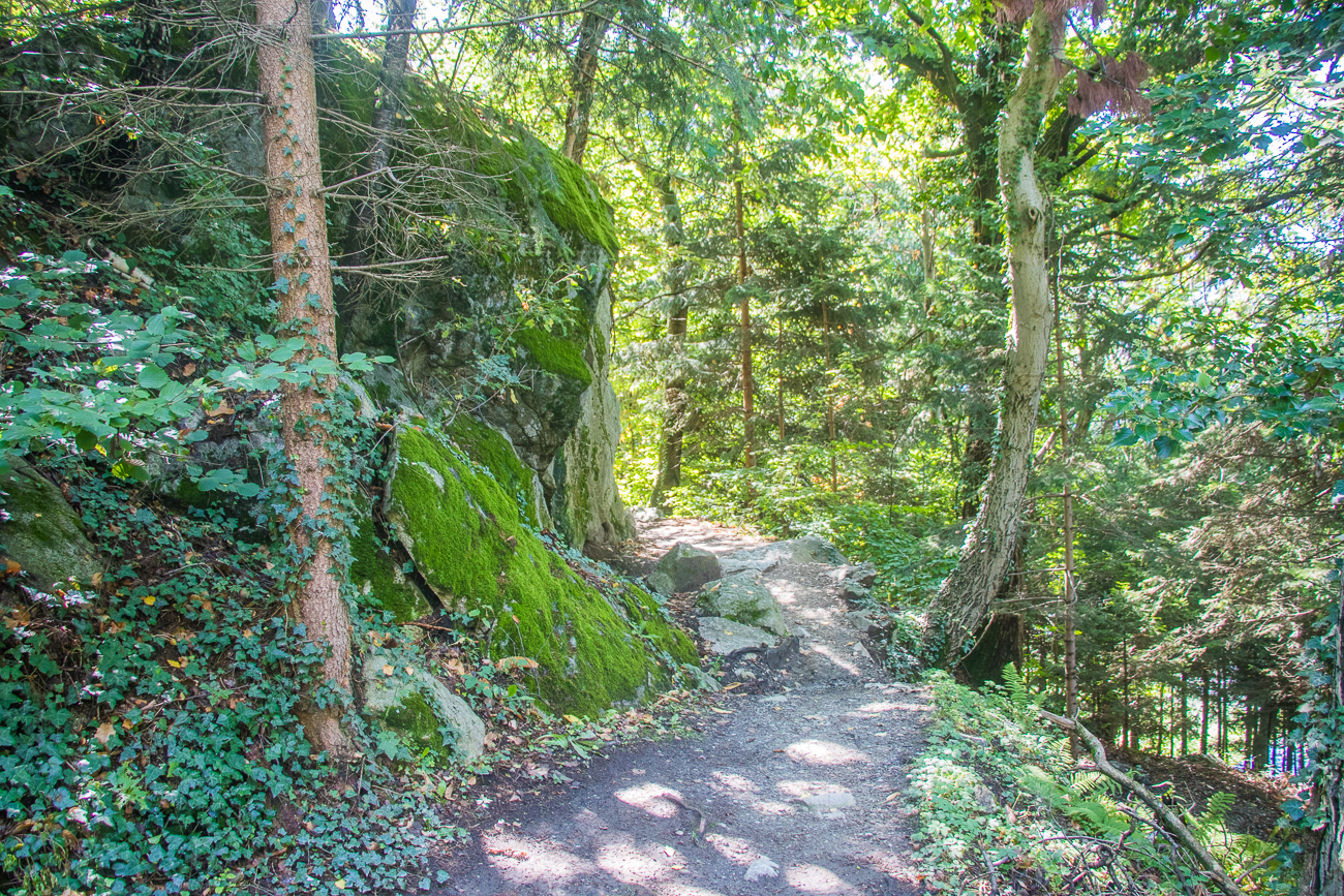 Weiter auf dem Waalweg ...