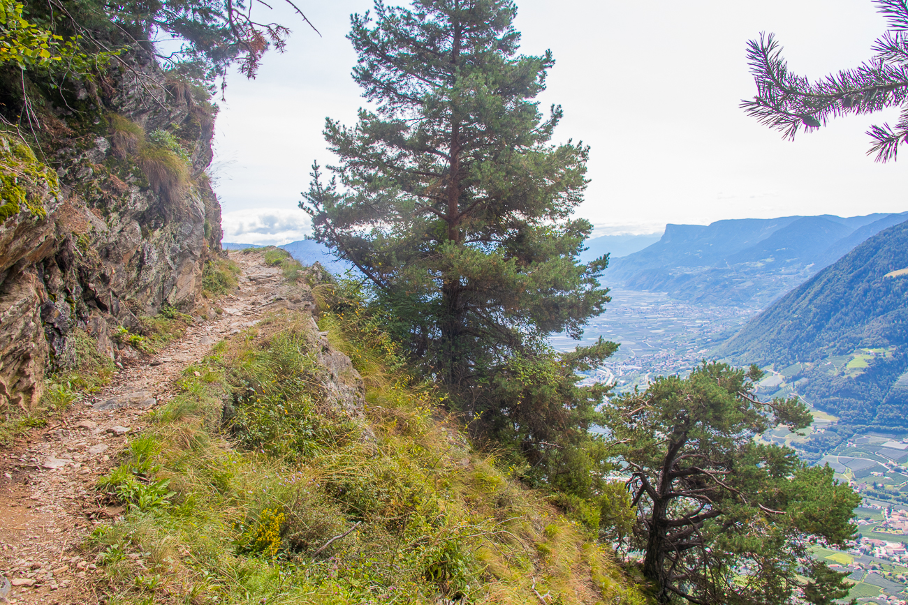 Auf dem Vellauer Felsenweg