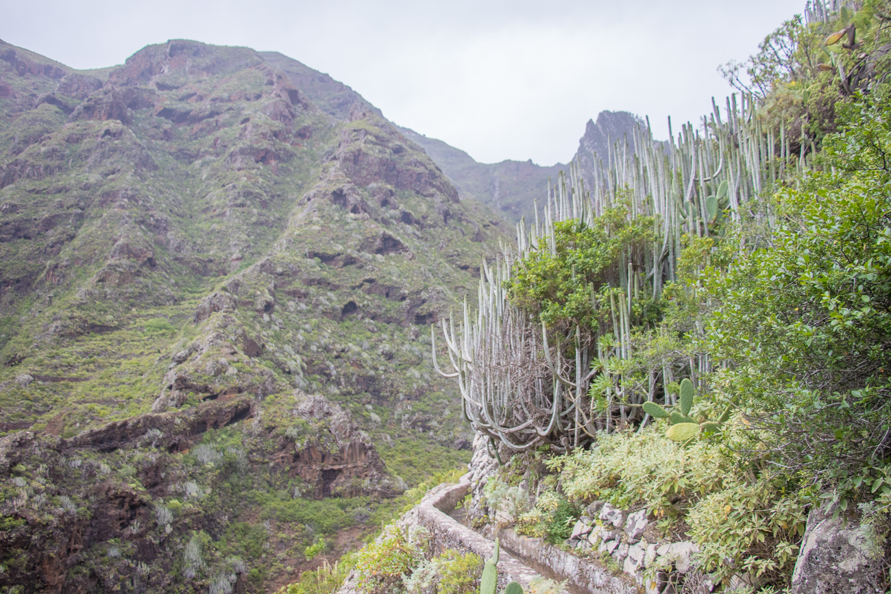 Einige Wanderungen die wir auf Teneriffa unternommen haben