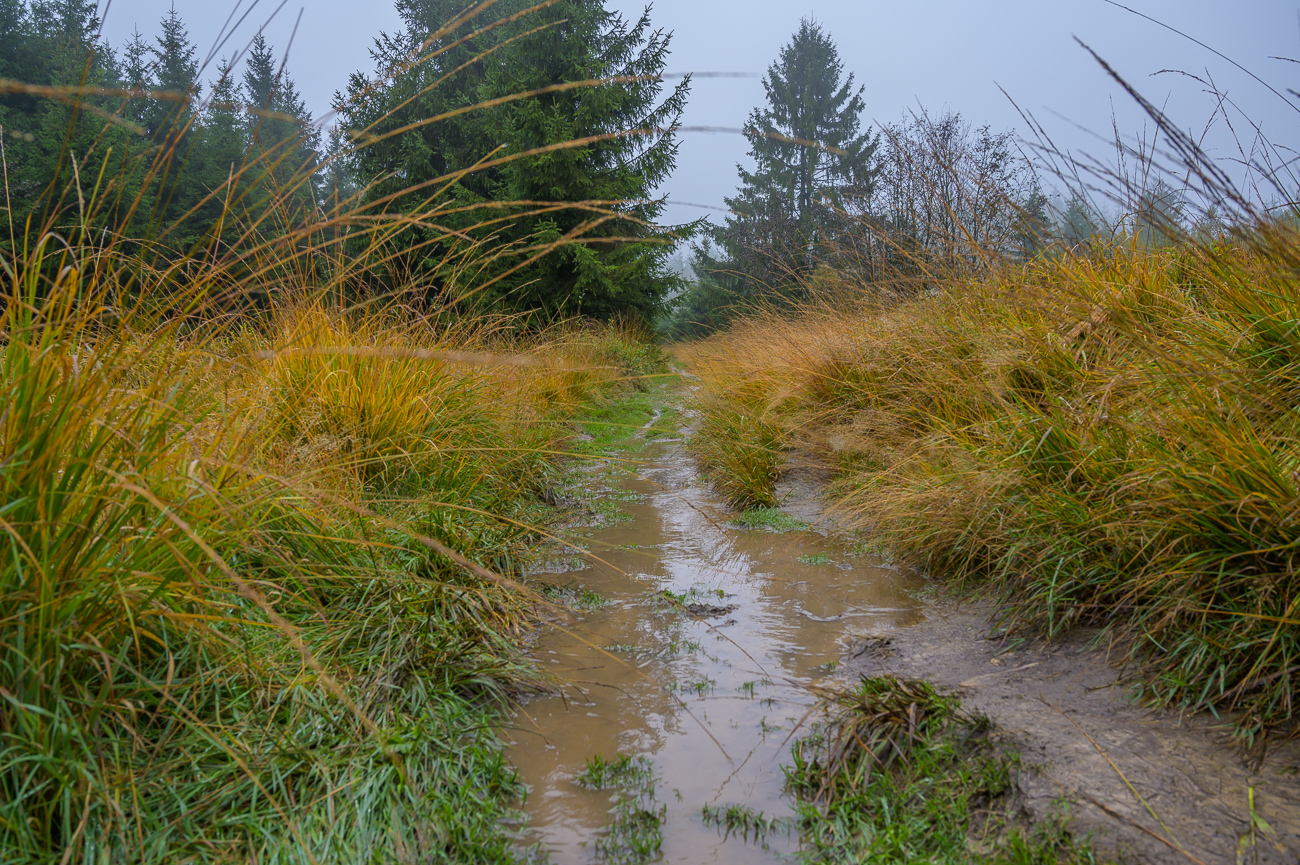 ... die Pfützen werden tiefer