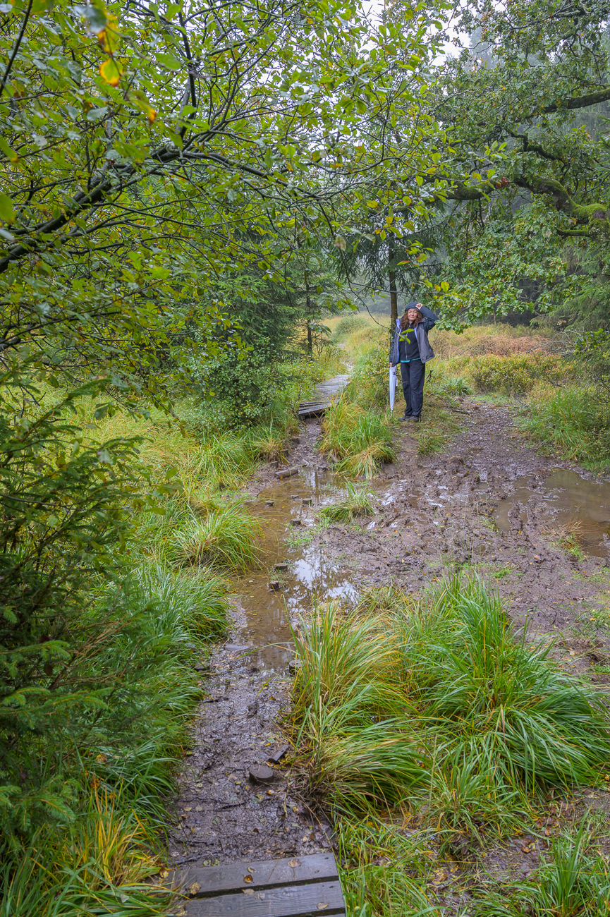... die zum Teil leider auch mal unterbrochen sind