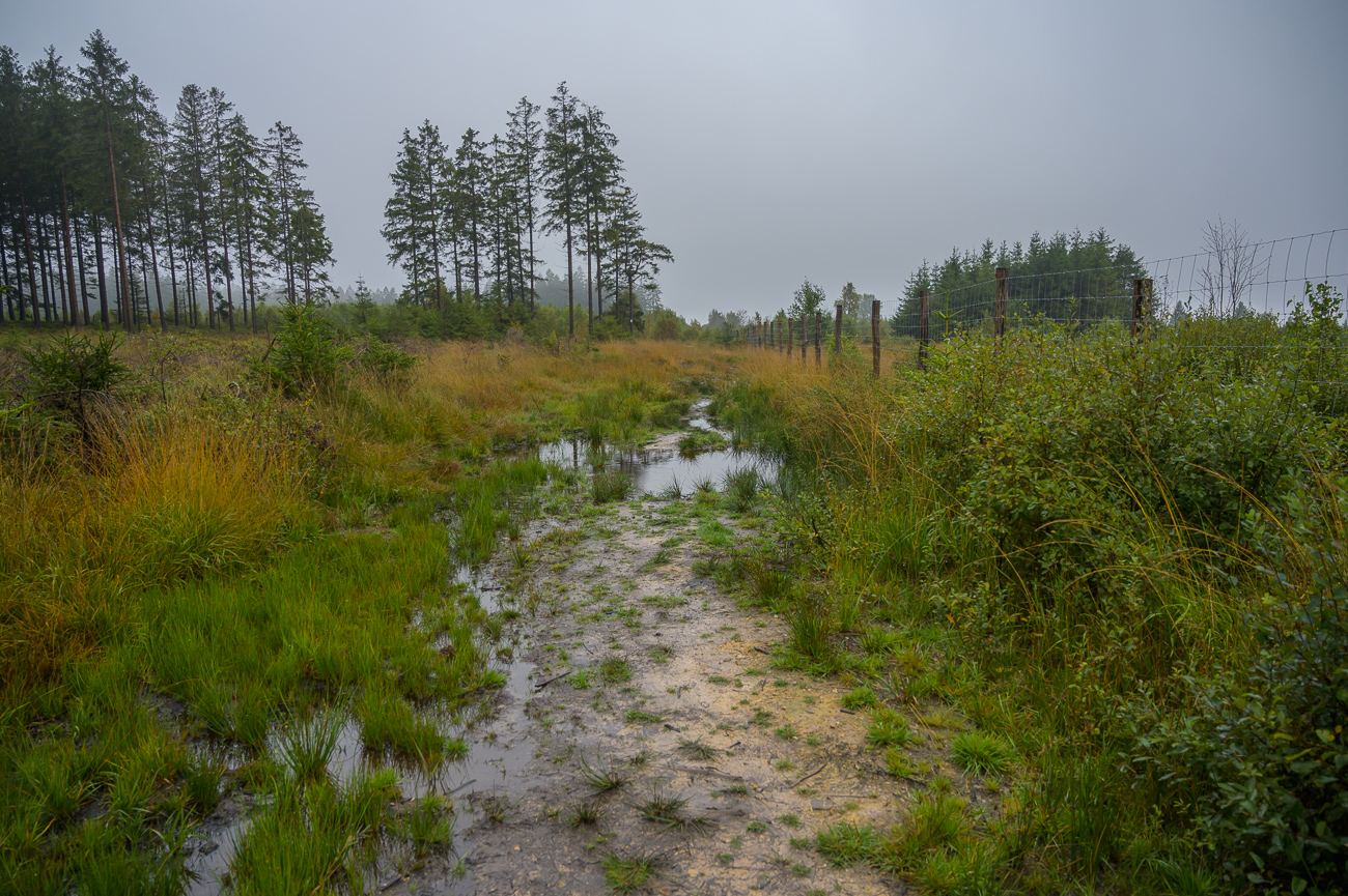 Hier wurde es uns zu nass und zu schlammig, wir kehren um