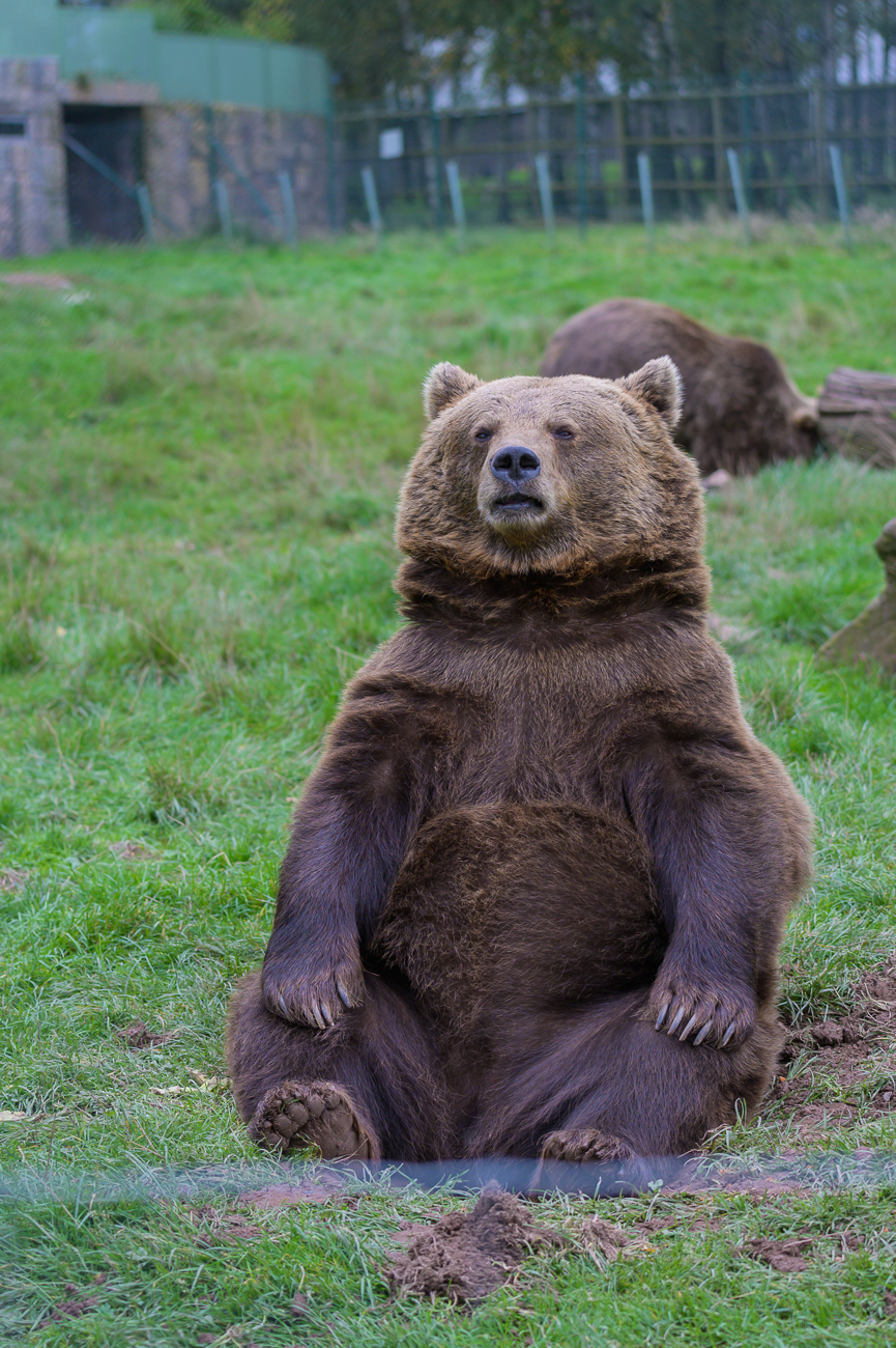 Cool oder gelangweilt?