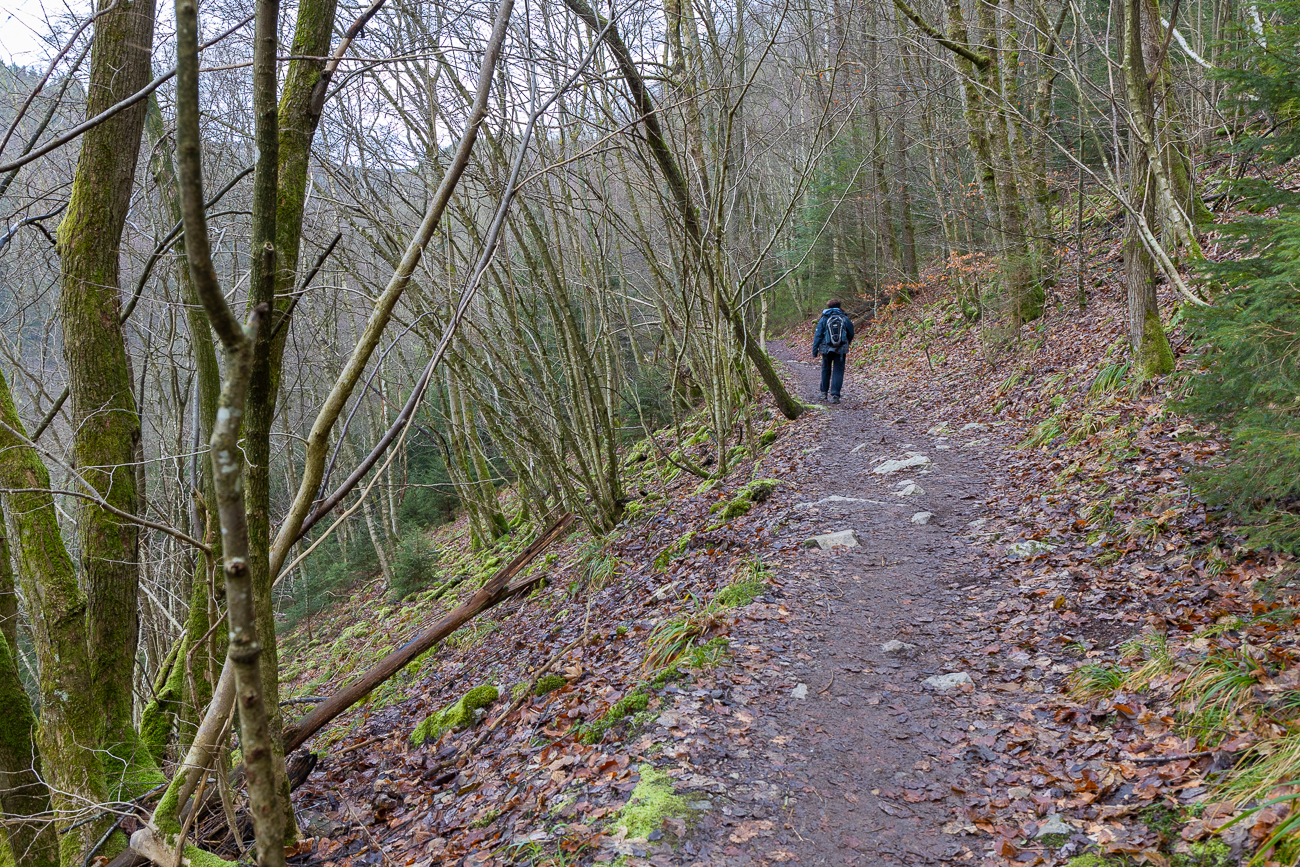 Nun geht es bergab ...
