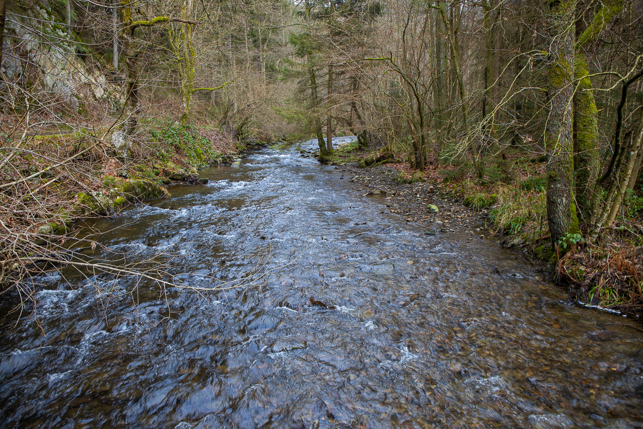 ... über das Flüsschen La Warche