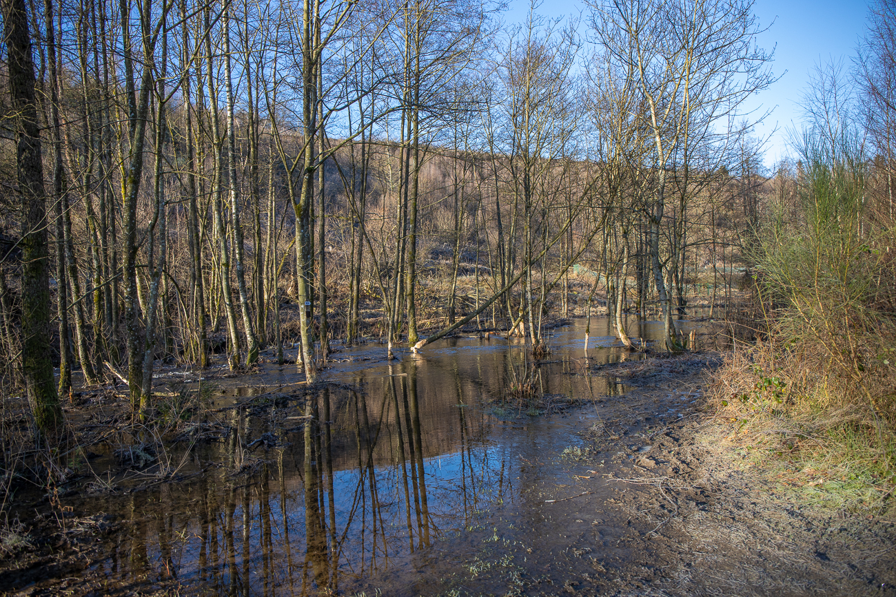 Der Bach Ruisseau de Chevral