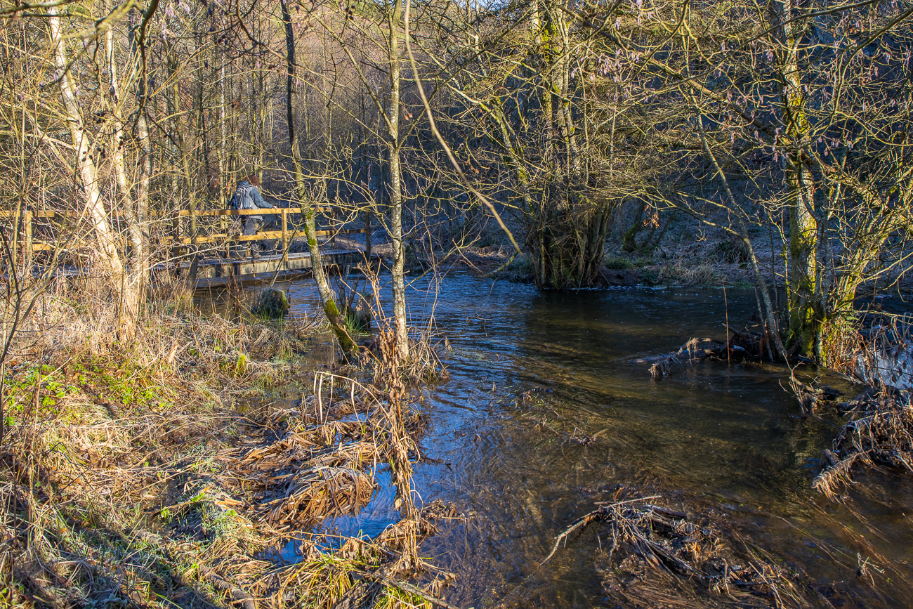 ... immer in der Hoffnung, einen der Nager zu finden