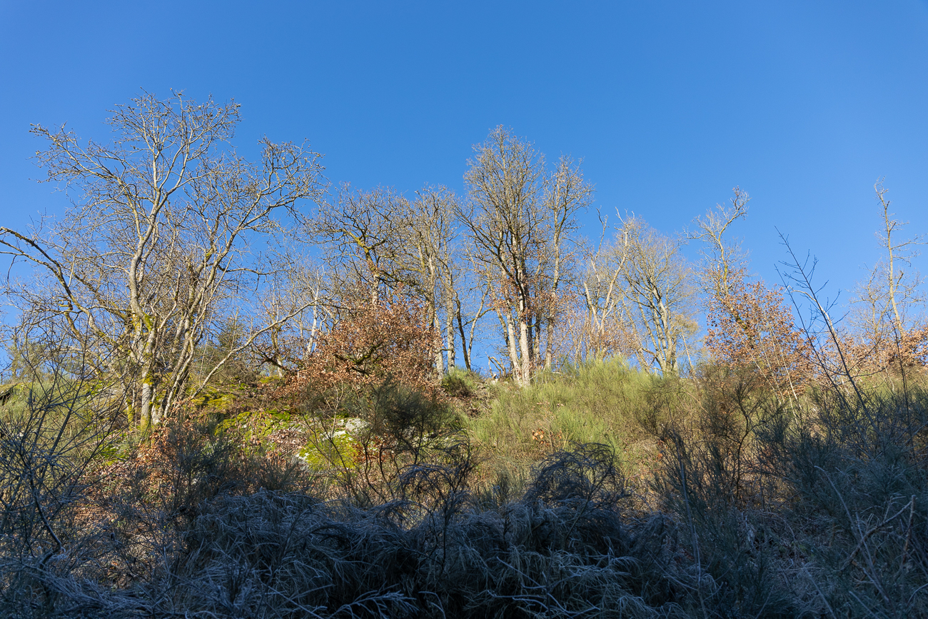 Endlich wieder an der Sonne