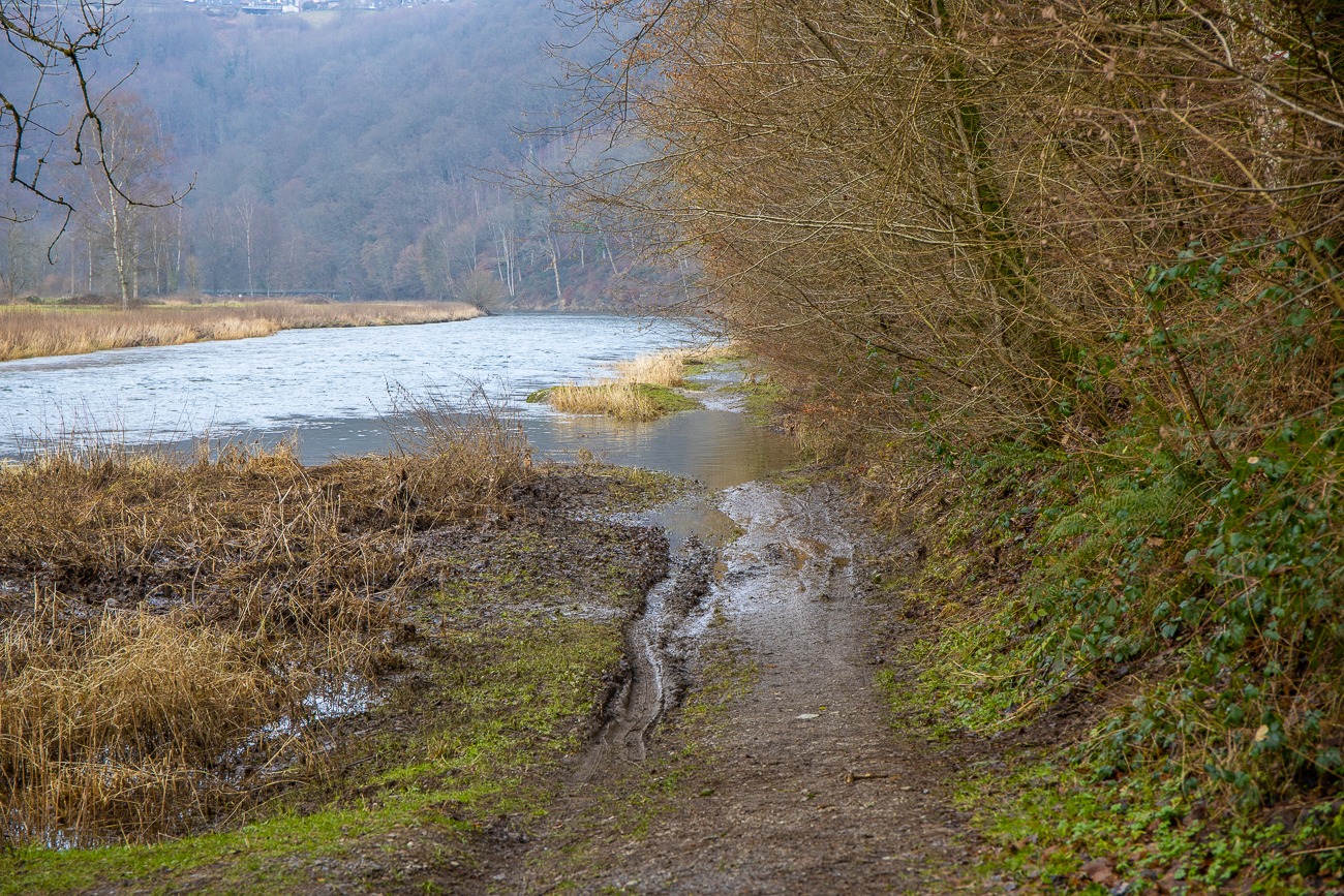 Hier treibt uns die Überschwemmung durch den Wald