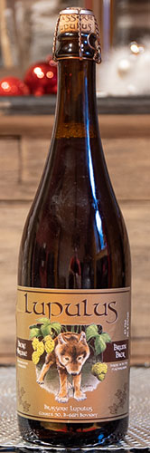 Große Flasche Lupulus Brune (schmeckte uns am besten)