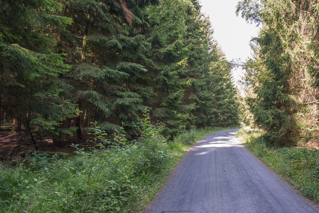 Wanderweg am Limes entlang