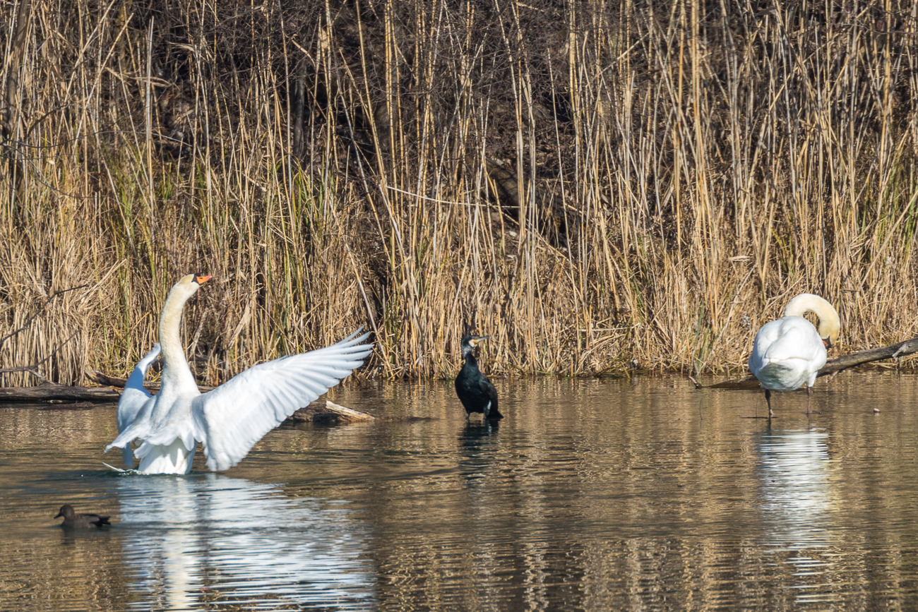 Einige Wanderungen die wir 2019 in der Pfalz unternommen haben