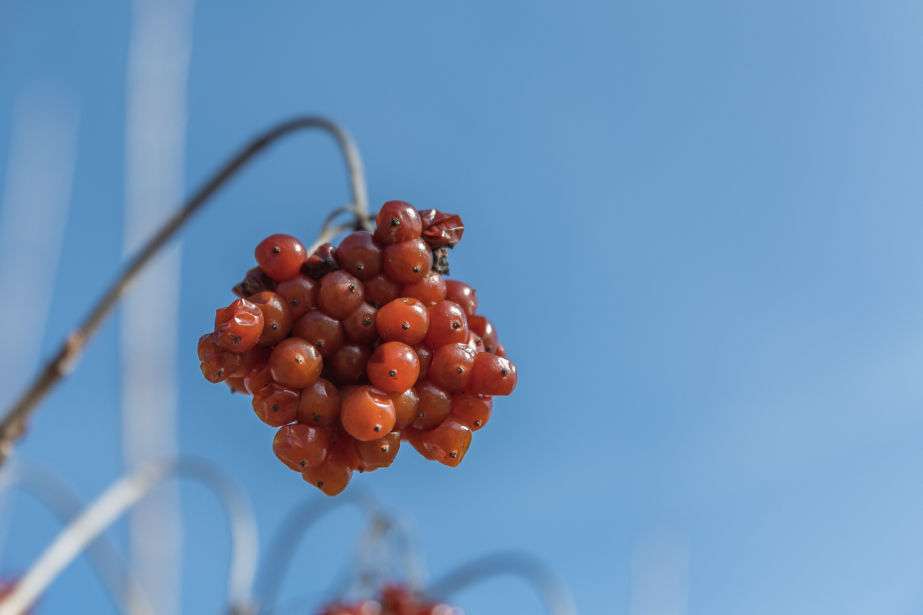 Der Rest aus dem Winter