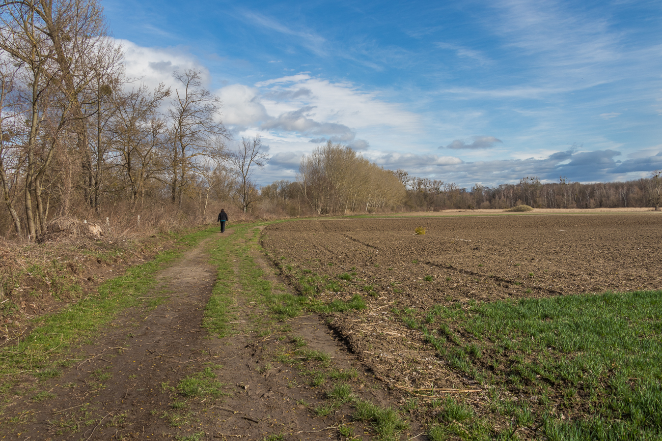 Sonniger Tag, aber windig