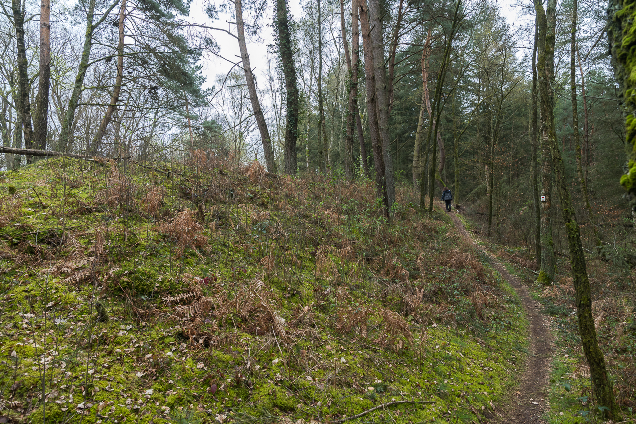 Der Pfad &uuml;ber den Schanzungen