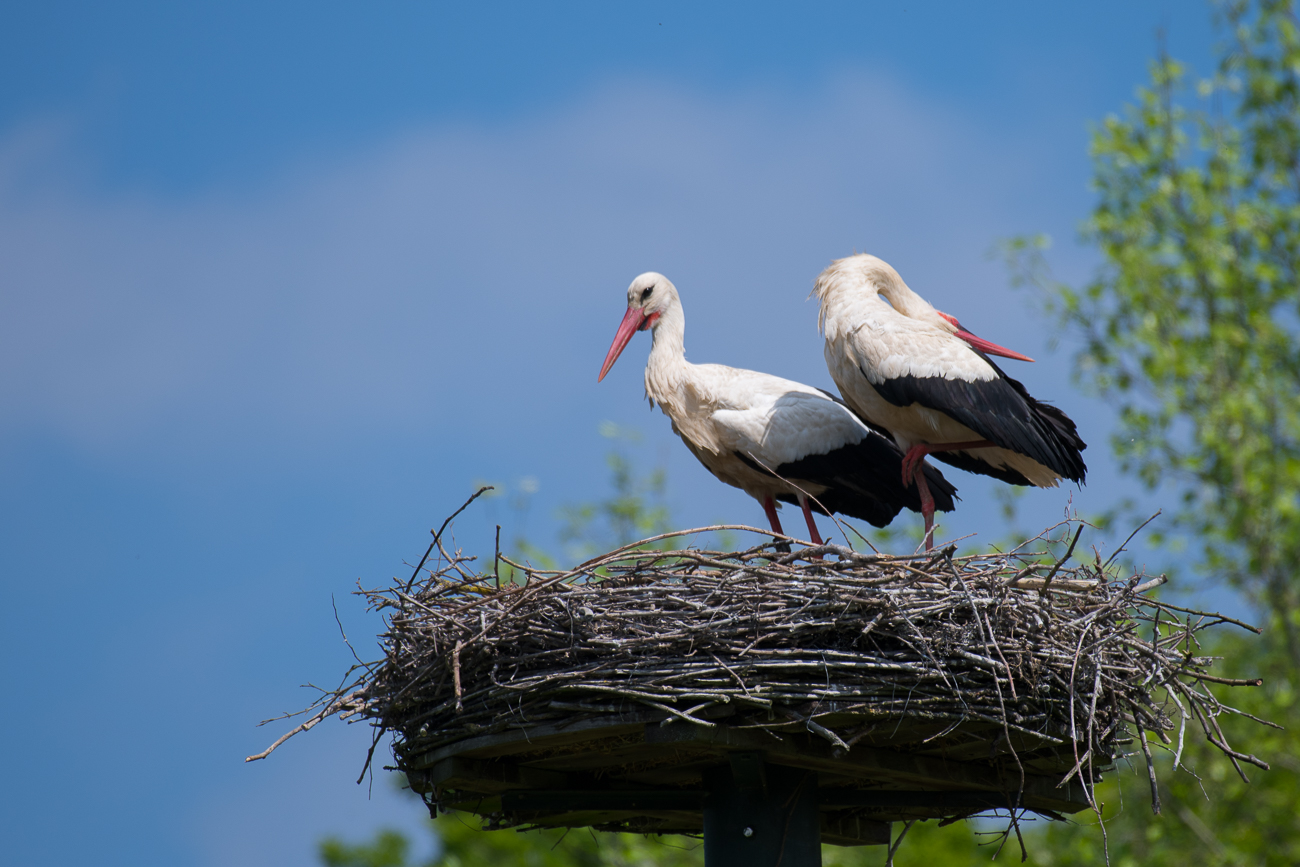 ... und geklappert, mal alleine ...