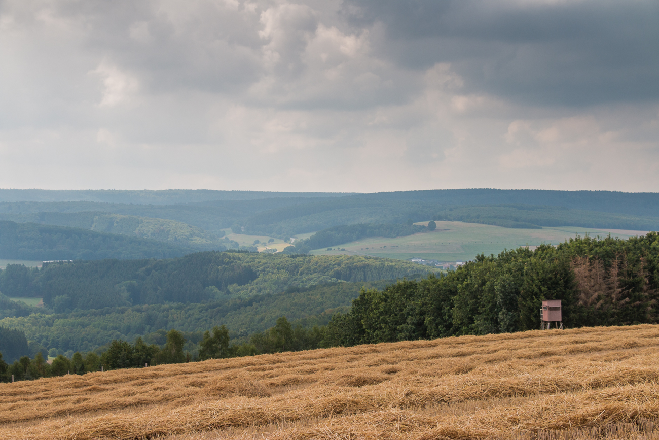 Die Felder sind zum Teil abgeerntet