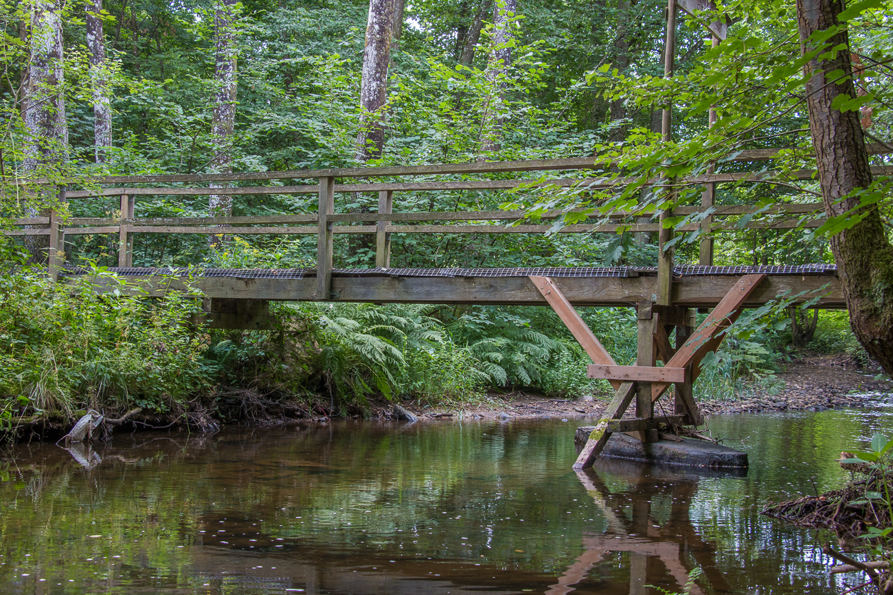 Steg &uuml;ber die Ruwer