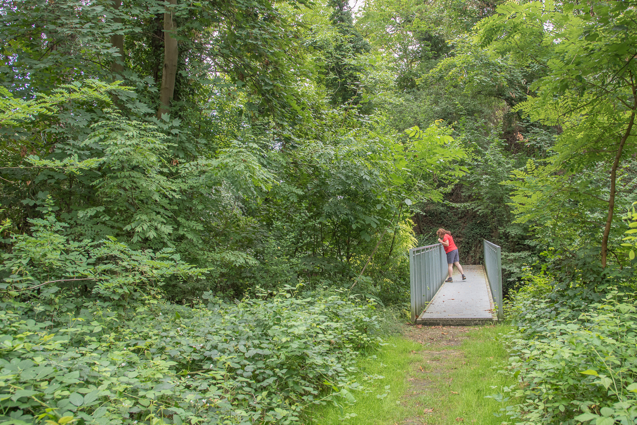 Unter der Brücke fließt ein Bach ...