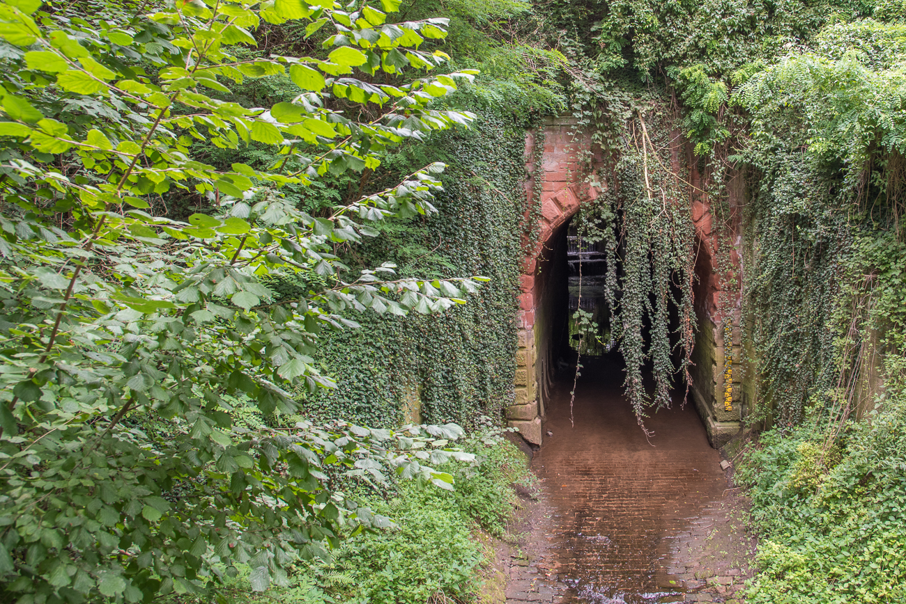 ... der durch dieses "Tor" kommt