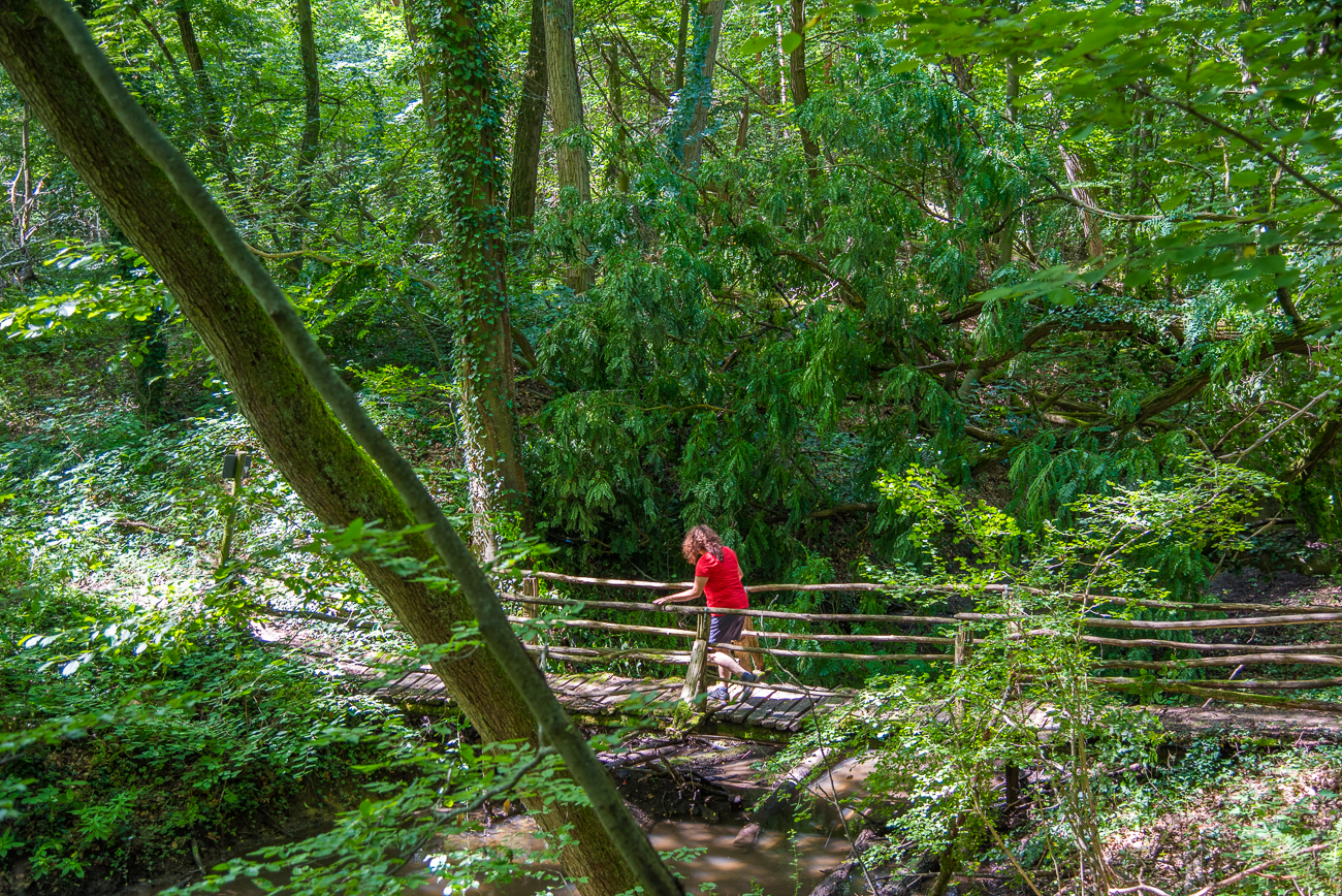 Wackelige Br&uuml;cke 