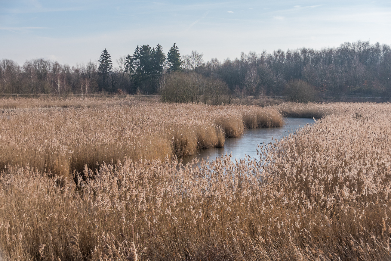 Br&ouml;nnchsthalweiher, ehem. Absinkweiher der Grube