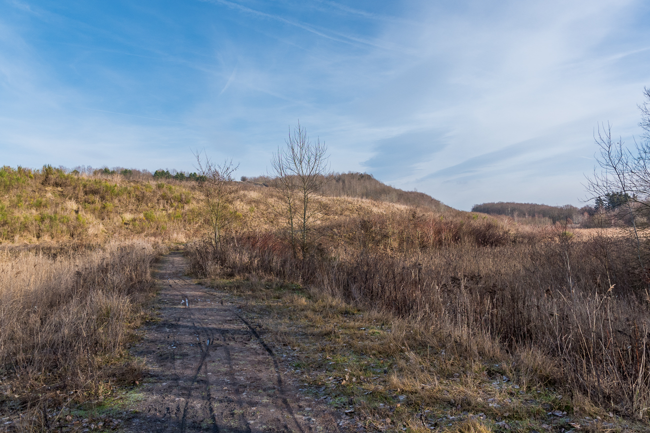 Wanderweg zwischen Halde und Biotop